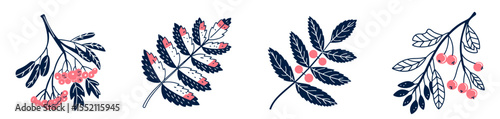 Set of mountain rowan leaves and berries in decorative style  