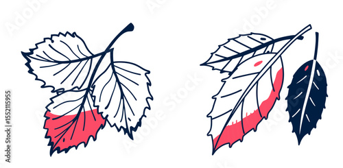 Set of birch leaves illustrated in red and navy blue colors  