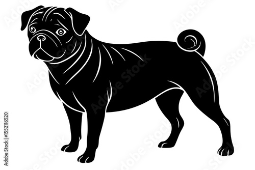 pug dog silhouette vector illustration