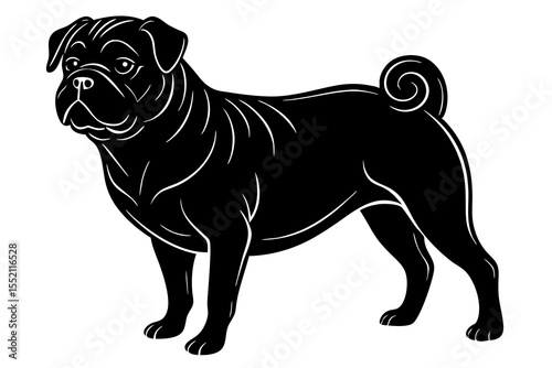 pug dog silhouette vector illustration