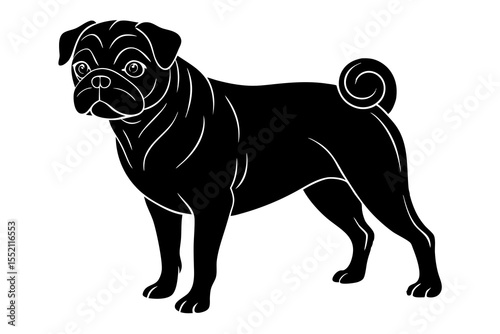 pug dog silhouette vector illustration