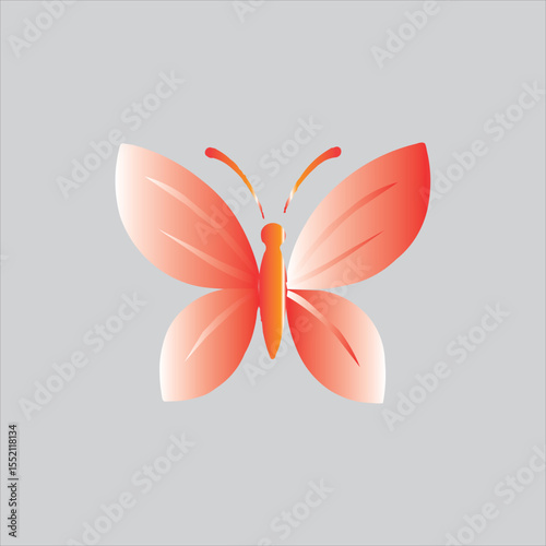 Beautiful butterfly