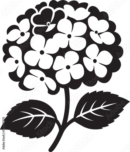 Hydrangea flower silhouette black and white, Elegant floral illustration for decoration
