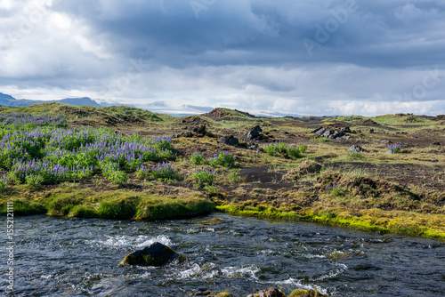 idyllische Flußläufe- Island