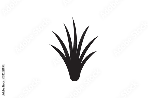 Fibre silhouette.