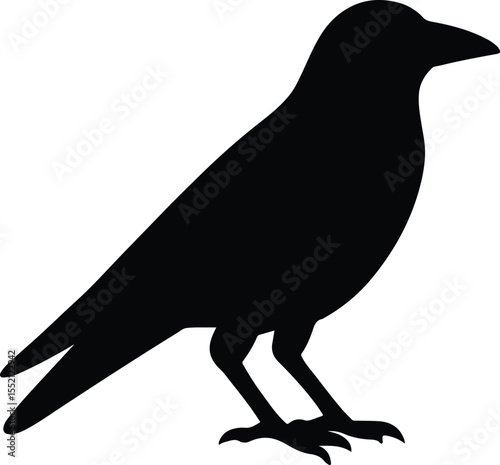 Silhouette raven standing profile black and white Vector Illustration