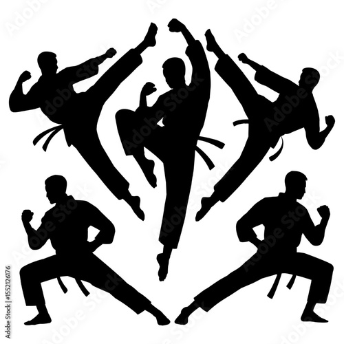 Silhouettes of karate fighters in action