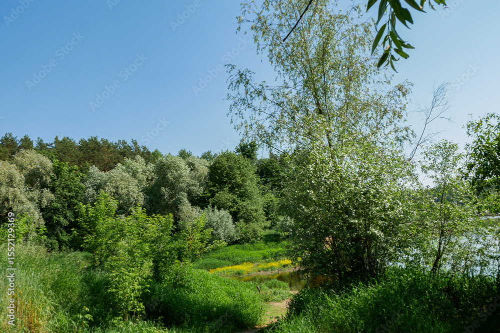 Fototapeta premium Simple summer rural European landscape.