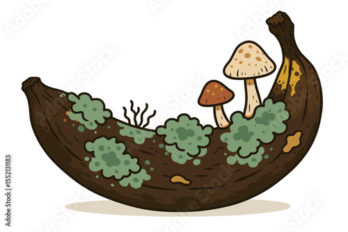 Rotting banana with green mold, cartoon fungi and mushrooms illustration. Spoiled fruit decomposition, decay process, organic waste, food spoilage, nature cycle, isolated vector on white background