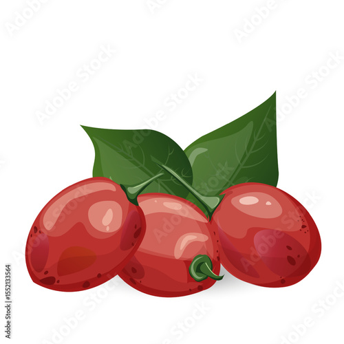 ДляTamarillo. Exotic tropical tomato tree fruit. For food blogs or recipe websites, packaging, catalogs or educational posters, menus, printables and teaching materials