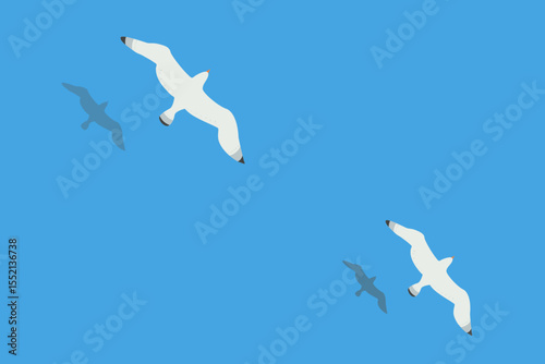 Two seagulls soar over the surface of the sea or ocean. Shadows of the birds are reflected in the water.