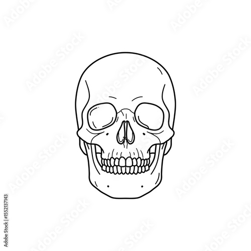 Black line icon of human skull front view with eye sockets nasal cavity and jaw