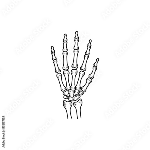 Black line icon of human hand skeleton palm view showing carpals metacarpals and phalanges