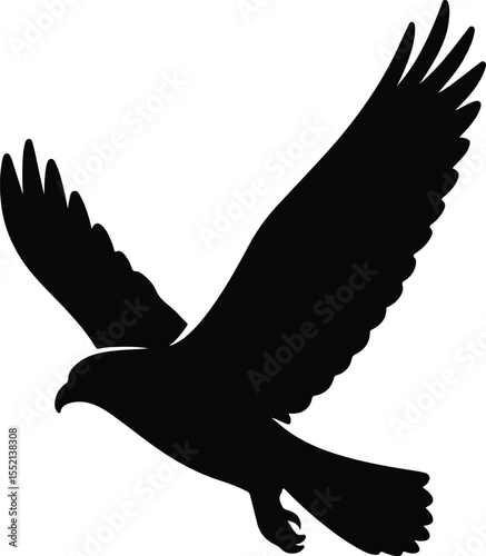 Silhouette soaring eagle illustration wild bird flying high Vector Illustration