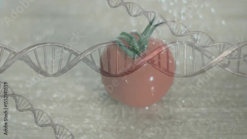DNA helix drifting into view triggers droplets sprinkling onto tomato visualizing genetic freshness