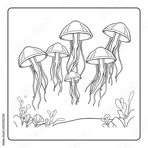 vector illustration of ocean animal