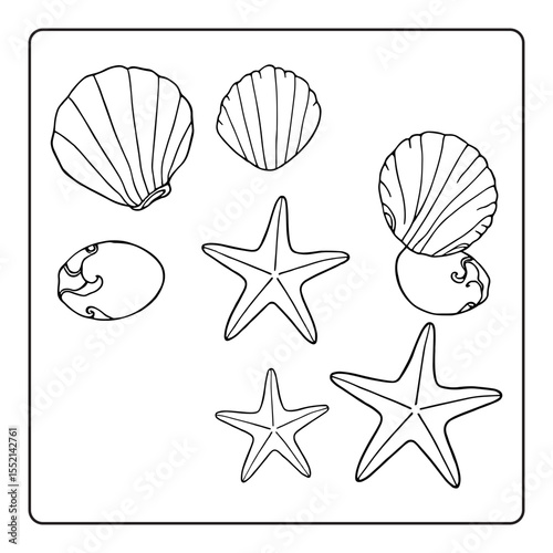 vector illustration of ocean animal