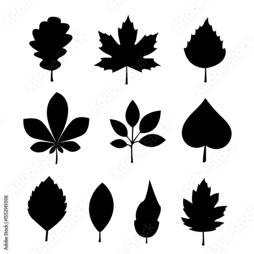 Various leaf silhouettes arranged in a grid pattern showcasing different tree species and plant shapes