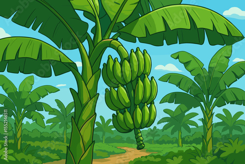 Vibrant green banana tree with clusters of unripe bananas hanging from branches in tropical plantation, lush foliage, jungle landscape, cartoon vector illustration, agricultural nature scene