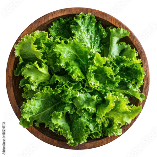 Freshly washed green leaf lettuce in a wooden bowl ready for salad preparation isolated on transparent background