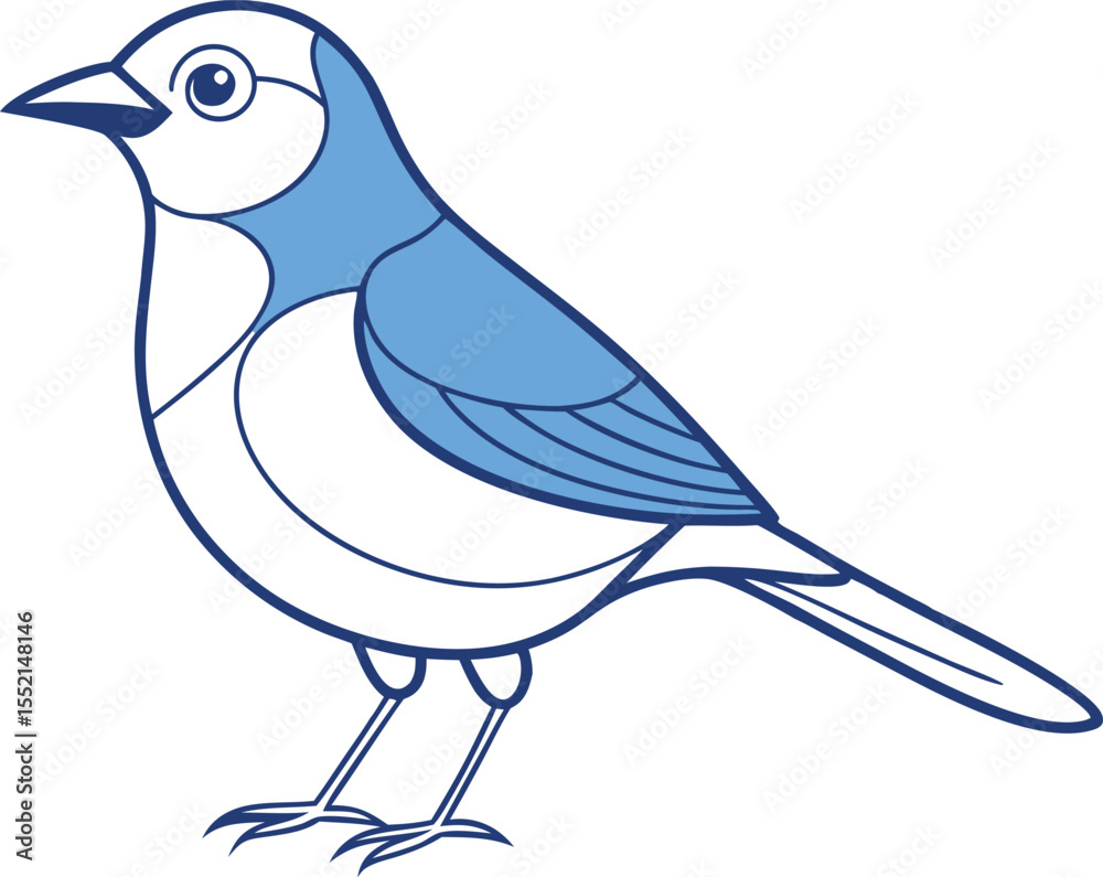 Obraz premium Jay Bird Line Drawing Vector Art