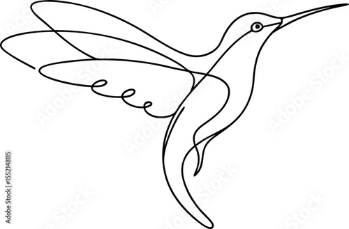 Minimalist Hummingbird Line Art Vector