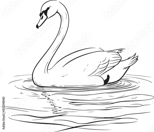 Elegant Black and White Swan Illustration, Vector Graphic