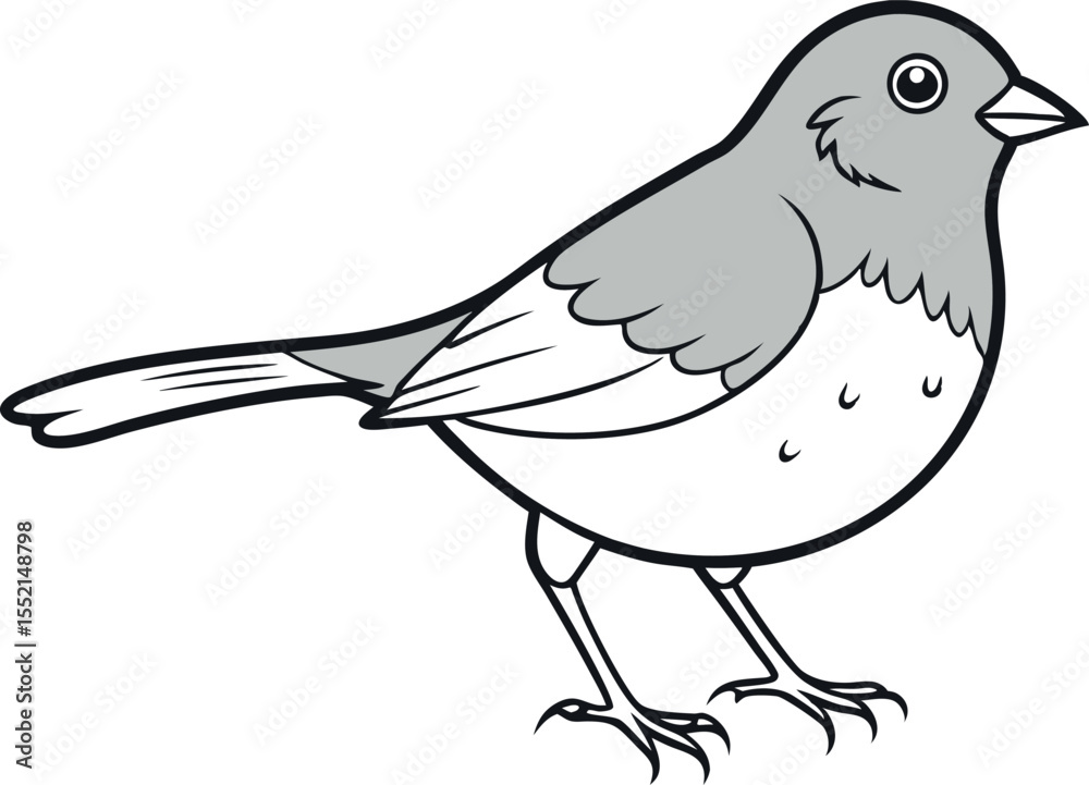 Fototapeta premium Simple Junco Bird Line Art Design