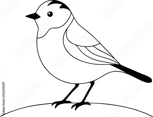 Kinglet Bird Line Art Drawing Vector