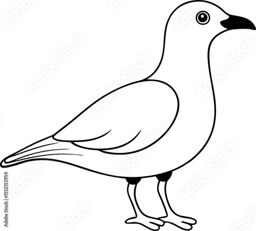 Seagull Line Drawing Vector Illustration