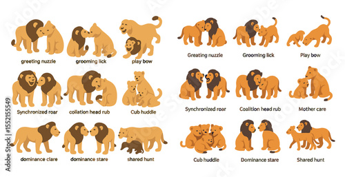 Animal behavior flat icons set – silhouette, filled, wildlife interaction symbols