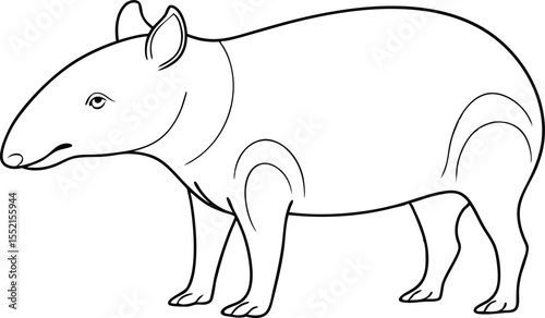 Tapir Fine Line Drawing Design