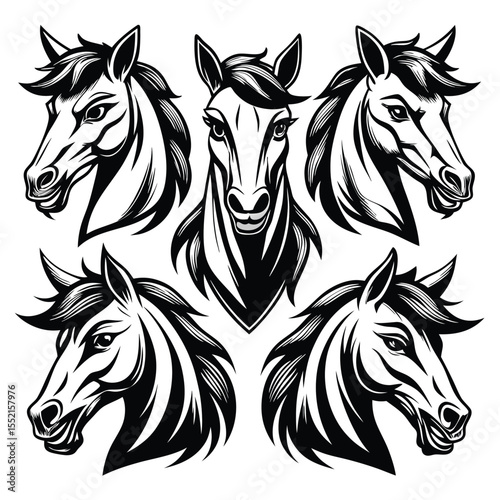 Stylized Horse Head Logo Set – Vector Illustration of Elegant Horse Profiles