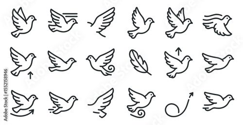 Birds and feather outline icons set – line, flight, nature symbols