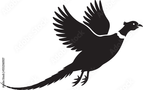 Vector art of a flying pheasant black and white silhouette 