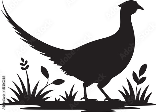 Vector art of a pheasant silhouette stands in the grass