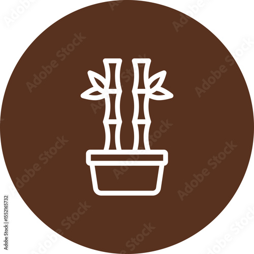 Lucky Bamboo Plant Vector Line Icon Design