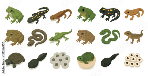 Reptile and amphibian 3d icons set – solid, lifelike, nature symbols