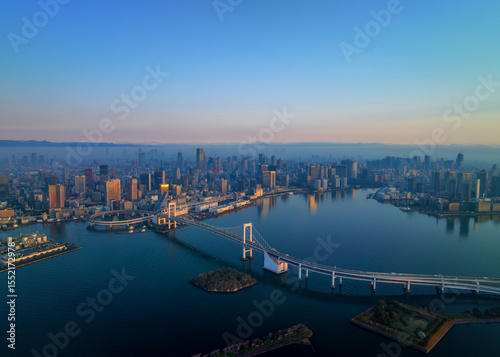 Wall Mural Aerial view of Tokyo at sunrise