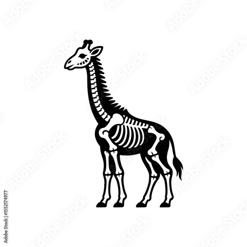 Giraffe skeleton: A detailed and artistic illustration showcases the skeletal structure of a giraffe. The intricate depiction highlights the giraffe's unique anatomy