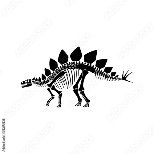 Stegosaurus Skeleton: A detailed and stark black and white illustration of a Stegosaurus skeleton, a relic of the ancient past, provides an educational glimpse into prehistoric life.