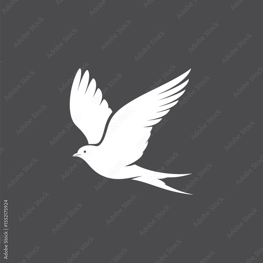 Fototapeta premium Soaring Bird Silhouette