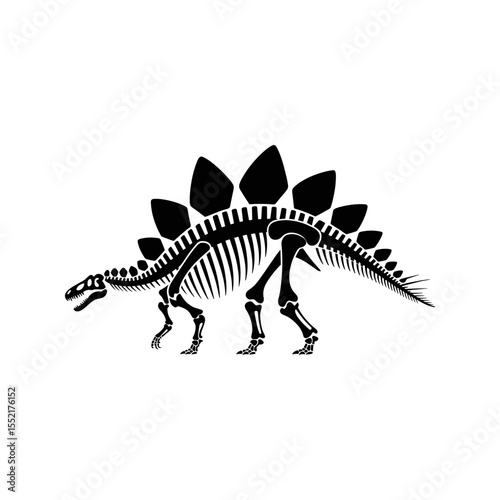 Stegosaurus Silhouette: A stark black and white illustration of a Stegosaurus skeleton, rendered in detailed profile, highlighting its iconic plates.