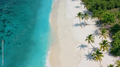 Breathtaking aerial view of tropical shoreline with palm trees and crystal clear water at midday