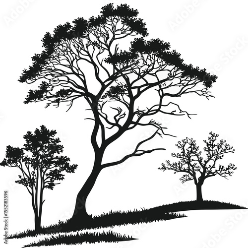 black-silhouette-vector-of-tree-shapes--white-back