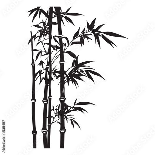 bambus silhouette vector illustration 