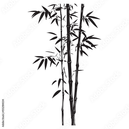 bambus silhouette vector illustration 