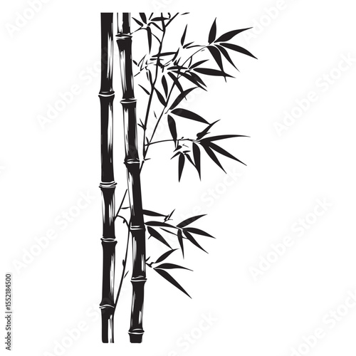 bambus silhouette vector illustration 