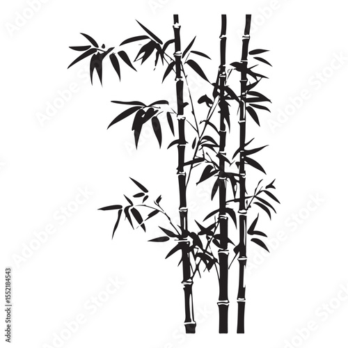 bambus silhouette vector illustration 