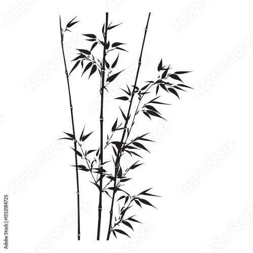 bambus silhouette vector illustration 